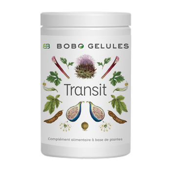 TRANSIT